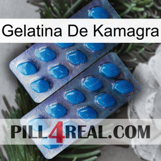 Kamagra Jelly viagra2
